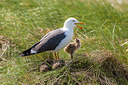 BUITEN BEELD Foto: 219578