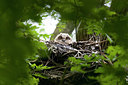 BUITEN BEELD Foto: 219607