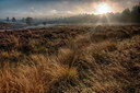 BUITEN BEELD Foto: 219615