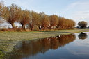 BUITEN BEELD Foto: 219660