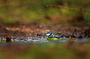 BUITEN BEELD Foto: 219747