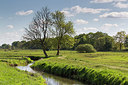 BUITEN BEELD Foto: 219792