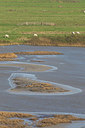 BUITEN BEELD Foto: 219820