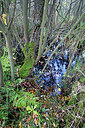 BUITEN BEELD Foto: 219830