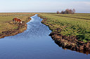 BUITEN BEELD Foto: 219852