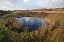 BUITEN BEELD Foto: 219856