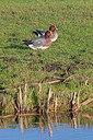 BUITEN BEELD Foto: 219970