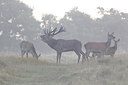BUITEN BEELD Foto: 220037