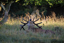 BUITEN BEELD Foto: 220063