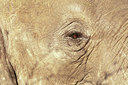 BUITEN BEELD Foto: 220070