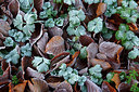 BUITEN BEELD Foto: 220120