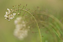BUITEN BEELD Foto: 220161