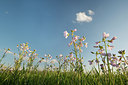 BUITEN BEELD Foto: 220242