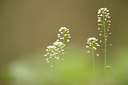 BUITEN BEELD Foto: 220245