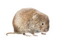 BUITEN BEELD Foto: 220250