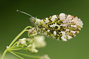 BUITEN BEELD Foto: 220306