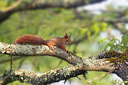 BUITEN BEELD Foto: 220326