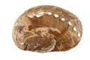 BUITEN BEELD Foto: 220425