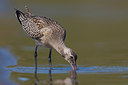 BUITEN BEELD Foto: 220451