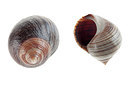BUITEN BEELD Foto: 220456