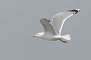 BUITEN BEELD Foto: 220670