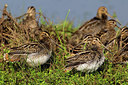 BUITEN BEELD Foto: 220804