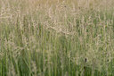BUITEN BEELD Foto: 220828