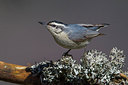 BUITEN BEELD Foto: 220872