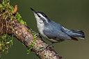 BUITEN BEELD Foto: 220886