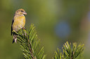 BUITEN BEELD Foto: 220898