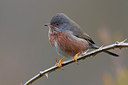 BUITEN BEELD Foto: 220902