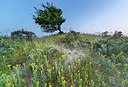 BUITEN BEELD Foto: 220967