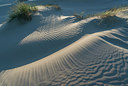BUITEN BEELD Foto: 220973