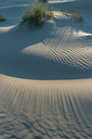 BUITEN BEELD Foto: 220979