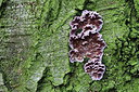 BUITEN BEELD Foto: 221023