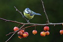 BUITEN BEELD Foto: 221026