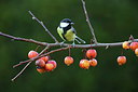 BUITEN BEELD Foto: 221029
