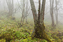 BUITEN BEELD Foto: 221037