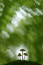 BUITEN BEELD Foto: 221102