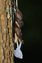 BUITEN BEELD Foto: 221126