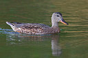 BUITEN BEELD Foto: 221155