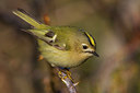 BUITEN BEELD Foto: 221157