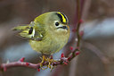 BUITEN BEELD Foto: 221159