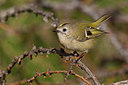 BUITEN BEELD Foto: 221160