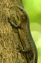 BUITEN BEELD Foto: 221211