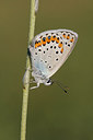 BUITEN BEELD Foto: 221226