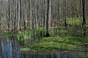 BUITEN BEELD Foto: 221240