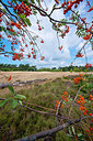BUITEN BEELD Foto: 221251