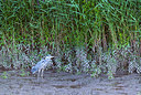 BUITEN BEELD Foto: 221257