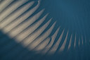 BUITEN BEELD Foto: 221264